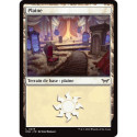 (Foil) Terrain - Plaine (V3) (L) [DSK]