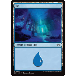 (Foil) Terrain - Île (V2) (L) [DSK]