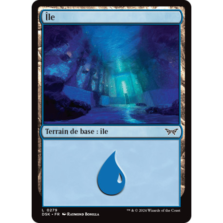 (Foil) Terrain - Île (V2) (L) [DSK]