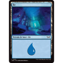 (Foil) Terrain - Île (V2) (L) [DSK]