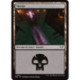 (Foil) Terrain - Marais (V2) (L) [DSK]
