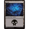 (Foil) Terrain - Marais (V3) (L) [DSK]