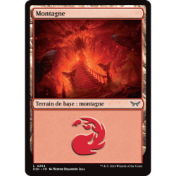 (Foil) Terrain - Montagne (V3) (L) [DSK]