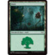 (Foil) Terrain - Forêt (V2) (L) [DSK]