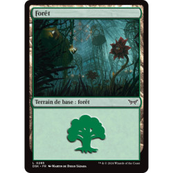 (Foil) Terrain - Forêt (V2) (L) [DSK]