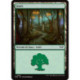 (Foil) Terrain - Forêt (V3) (L) [DSK]