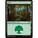 (Foil) Terrain - Forêt (V3) (L) [DSK]