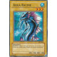 Aqua Racine (C)