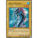 Aqua Racine (C) [LDD]