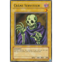 Crâne Serviteur (C) [LDD]