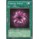 Cristal Violet (C)