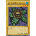 Étoile de Mer Cuirassée (C) [LDD]