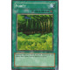 Forêt (C)
