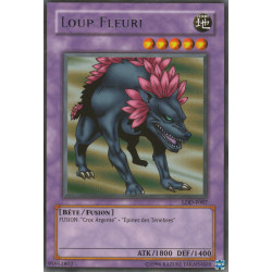 Loup Fleuri (R)