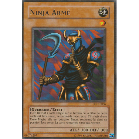 Ninja Armé (R)