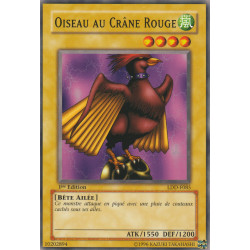 Oiseau au Crâne Rouge (C) [LDD]