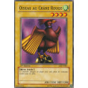 Oiseau au Crâne Rouge (C) [LDD]