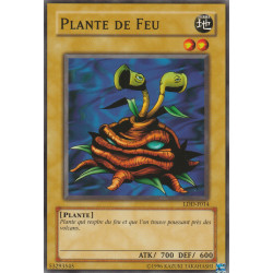 Plante de Feu (C) [LDD]