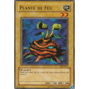 Plante de Feu (C) [LDD]