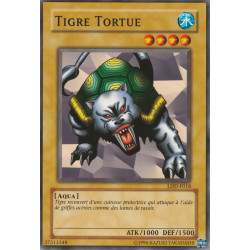 Tigre Tortue (C)