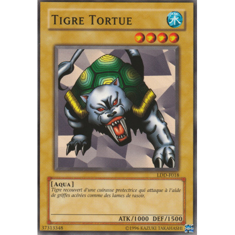 Tigre Tortue (C)