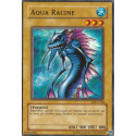 Aqua Racine (C) [LDD-C]