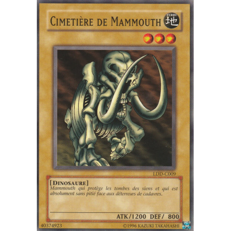 Cimetière de Mammouth (C) [LDD-C]