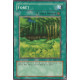 Forêt (C) [LDD-C]