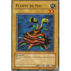 Plante de Feu (C) [LDD-C]
