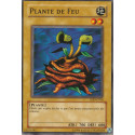 Plante de Feu (C) [LDD-C]