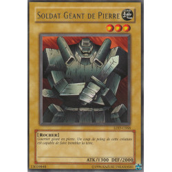 Soldat Géant de Pierre (R) [LDD-C]