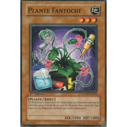 Plante Fantoche (C) [STON]