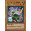 Plante Fantoche (C) [STON]