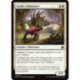 (Foil) Blanche - Guide armosaure (C) [FDN]