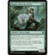 (Foil) Verte - Ranger frère des bêtes (C) [FDN]