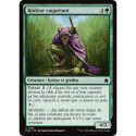 (Foil) Verte - Rôdeur caquetant (C) [FDN]