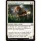 (Foil) Blanche - Frère de bande d'Ajani (V1) (U) [FDN]
