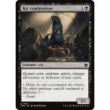 (Foil) Noire - Rat cambrioleur (C) [FDN]