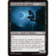 (Foil) Noire - Faucon de nuit vampire (U) [FDN]