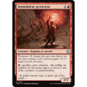 (Foil) Rouge - Immolateur pyrocœur (U) [FDN]