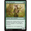 (Foil) Verte - Élite de Dwynen (C) [FDN]