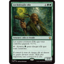 (Foil) Verte - Archidruide elfe (R) [FDN]