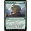 (Foil) Verte - Naître des cendres (C) [FDN]