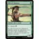 (Foil) Verte - Elfes de Llanowar (C) [FDN]