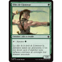 (Foil) Verte - Elfes de Llanowar (C) [FDN]