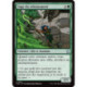 (Foil) Verte - Sage du reboisement (V1) (U) [FDN]