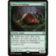 (Foil) Verte - Limon nécrophage (R) [FDN]