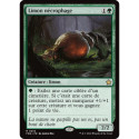 (Foil) Verte - Limon nécrophage (R) [FDN]
