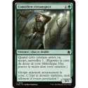 (Foil) Verte - Comédien circonspect (C) [FDN]