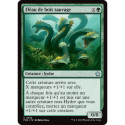 (Foil) Verte - Fléau de bois sauvage (U) [FDN]